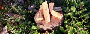 Palo Santo – posvátné dřevo